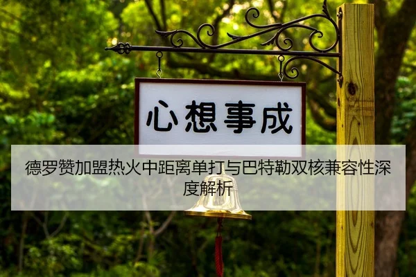 de-luo-zan-jia-meng-re-huo-zhong-ju-li-dan-da-yu-ba-te-lei-shuang-he-jian-rong-xing-shen-du-jie-xi-3-241.jpg