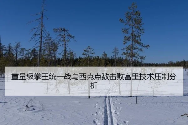 重量级拳王统一战乌西克点数击败富里技术压制分析